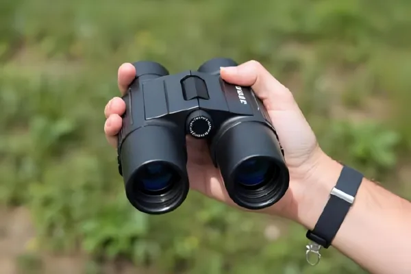 Best Cheap Binoculars for Bird Watching Expert Guide 2025