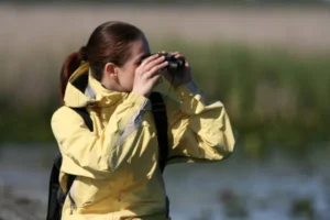 Complete Birdwatching Checklist Essential Guide for Every Bird Observer